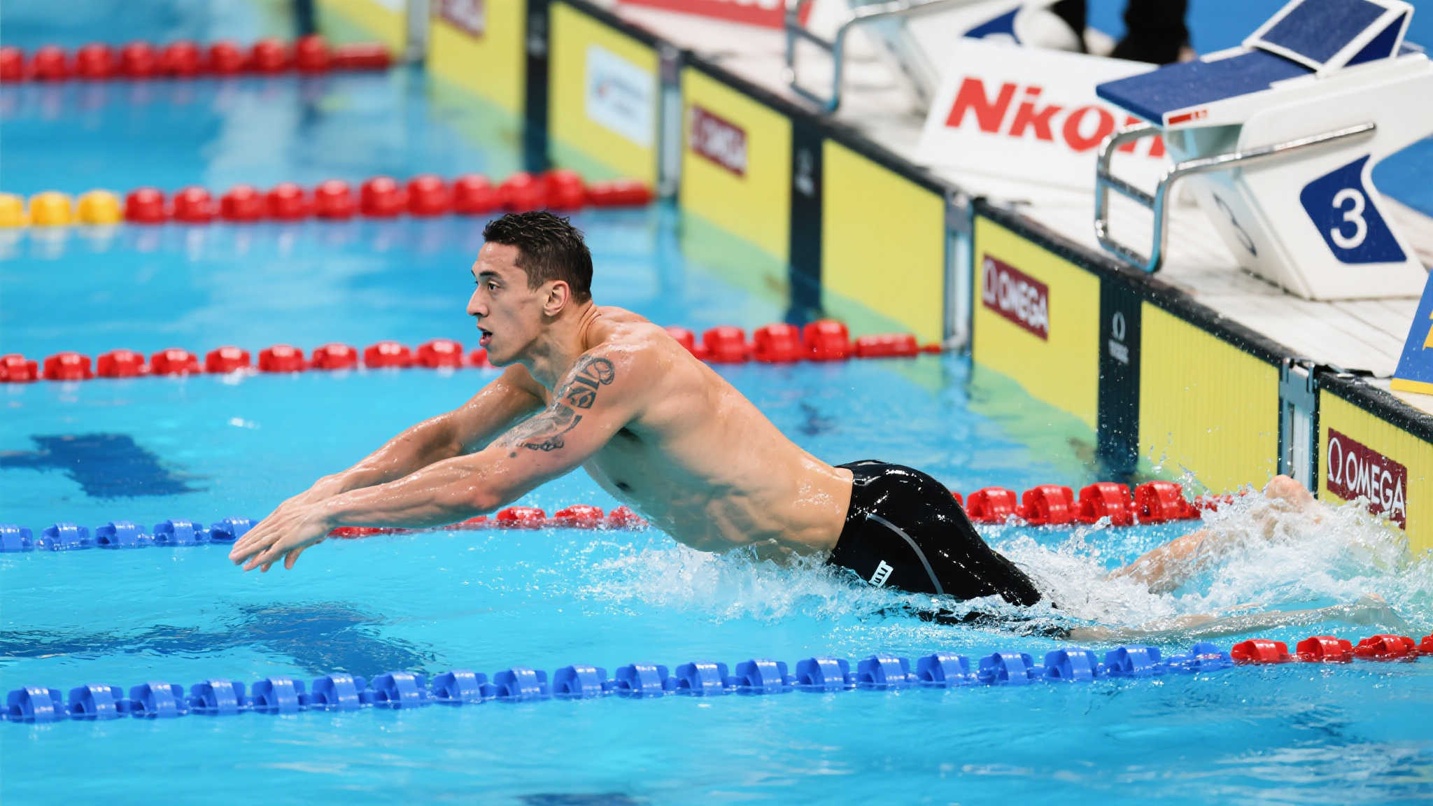 亡的命运 亡的命运